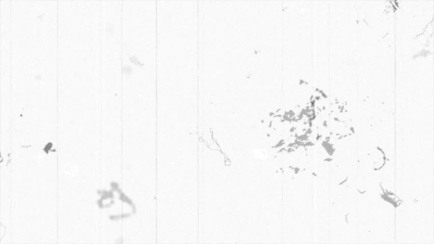 Loopable old film style overlay effect contains heavy film grain, scratches, dust, hairs, stains and lines in random motion for overlay