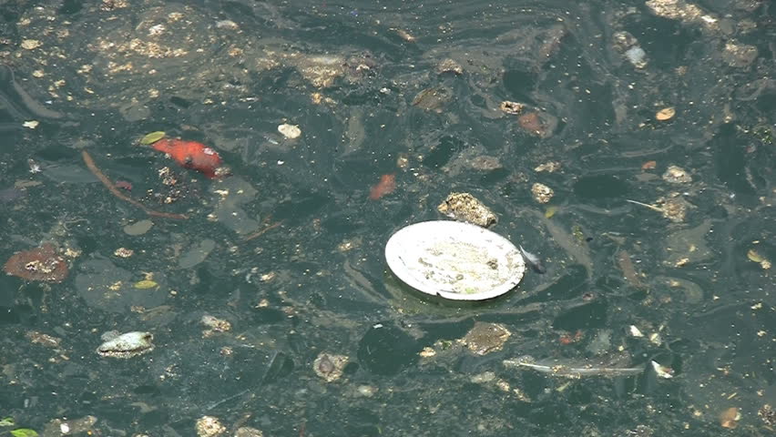 Garbage Floating In Water