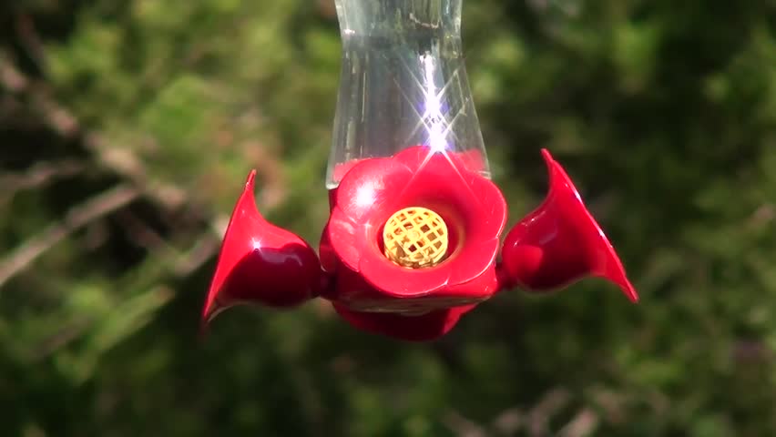 Humming Bird Feeder