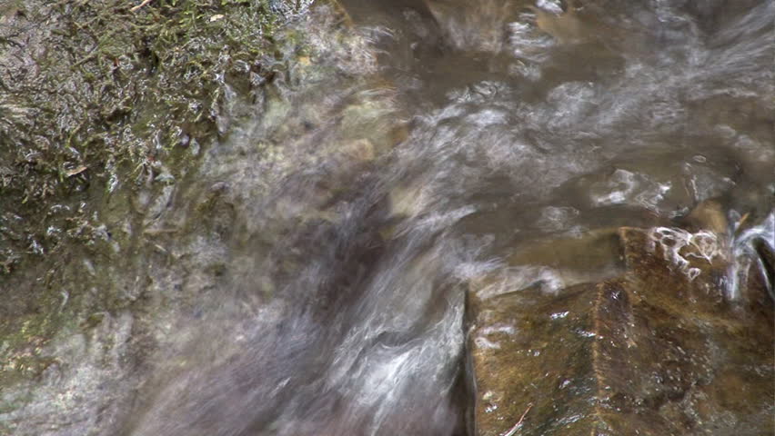 brook in wood 02