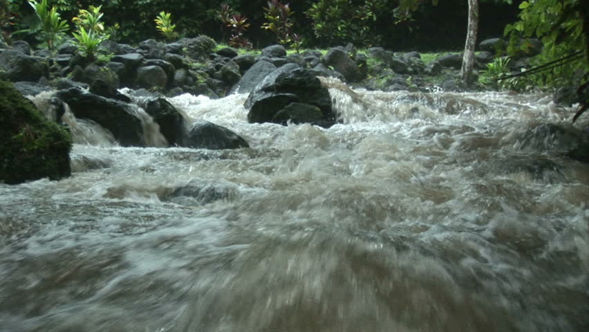 Rapids