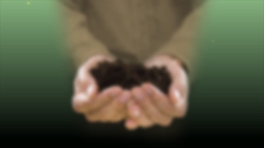 plant growing a man's hand, time-lapse.