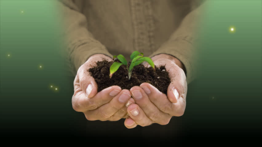 plant growing a man's hand, time-lapse.