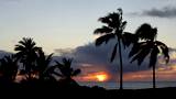 A sunset over the ocean in Hawaii with palm trees in the foreground.