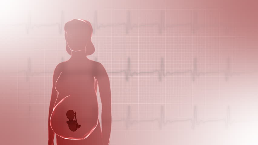 3d rotating pregnant woman in 2nd trimester with fetus on ecg background. Seamless loop.