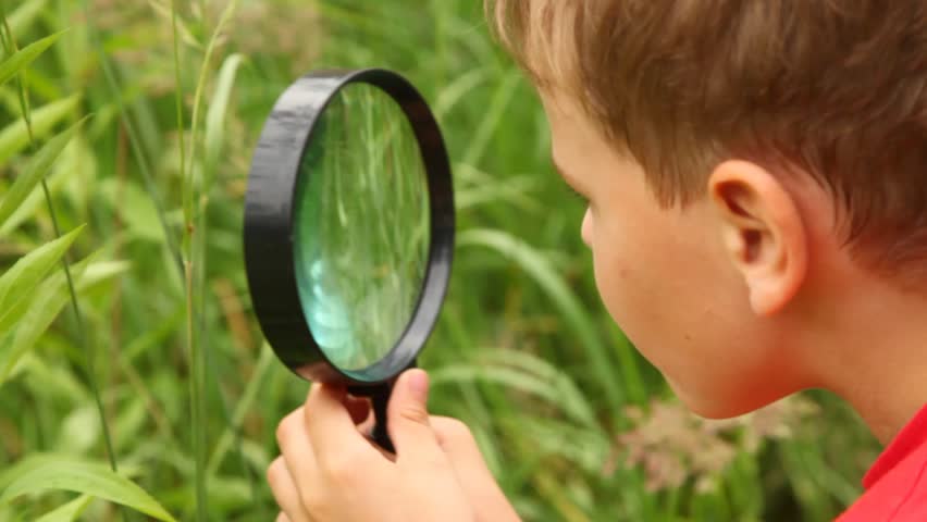  boy is busy by examining nature with a lens summer day.  