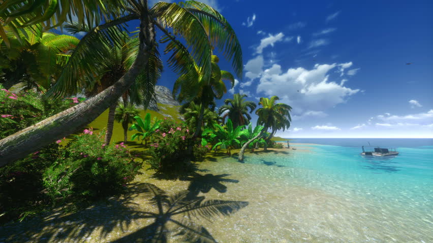 Hawaiian Paradise