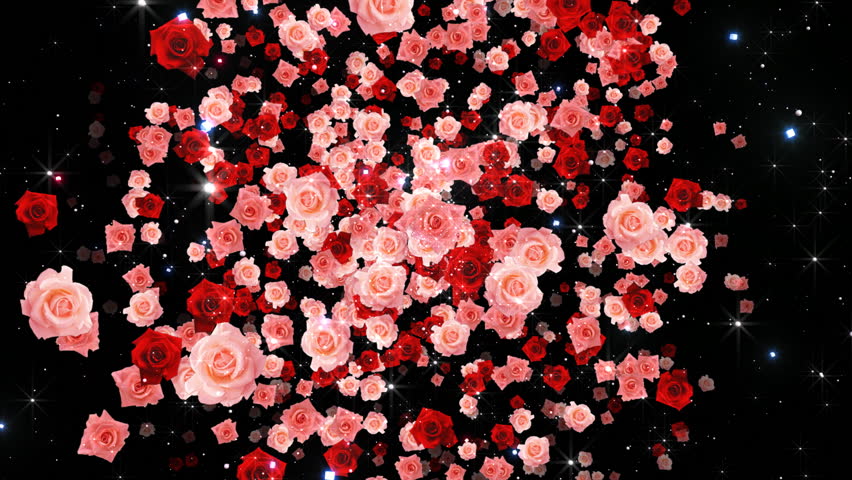 Colorful Sparkling with Rose.