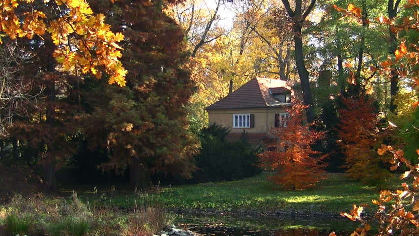 Cottage hidden in the woods