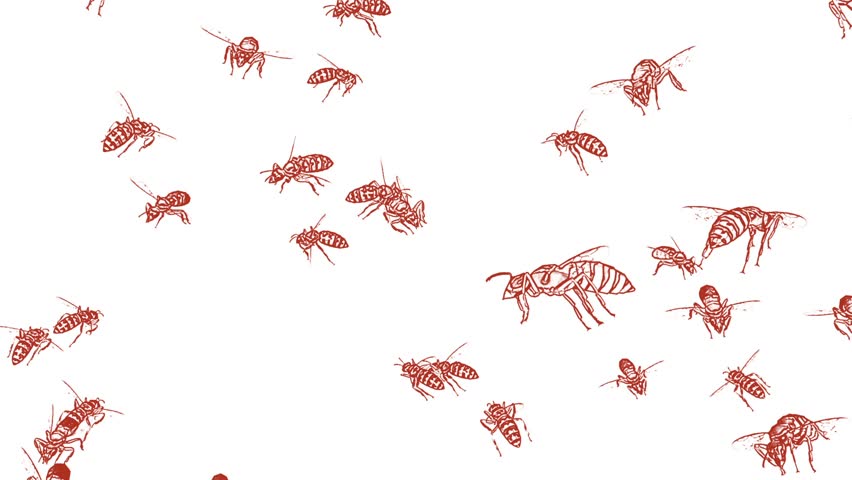 Cartoon Bee Vector Art image - Free stock photo - Public Domain photo - CC0 Images