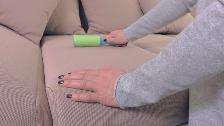 Header of lint