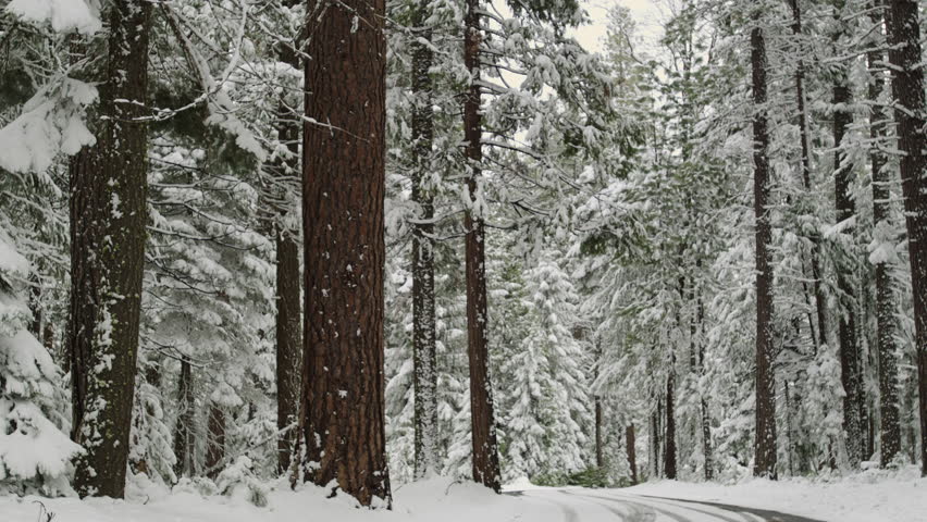 Bumpass Mountain in Lassen Volcanic National Park, California image ...