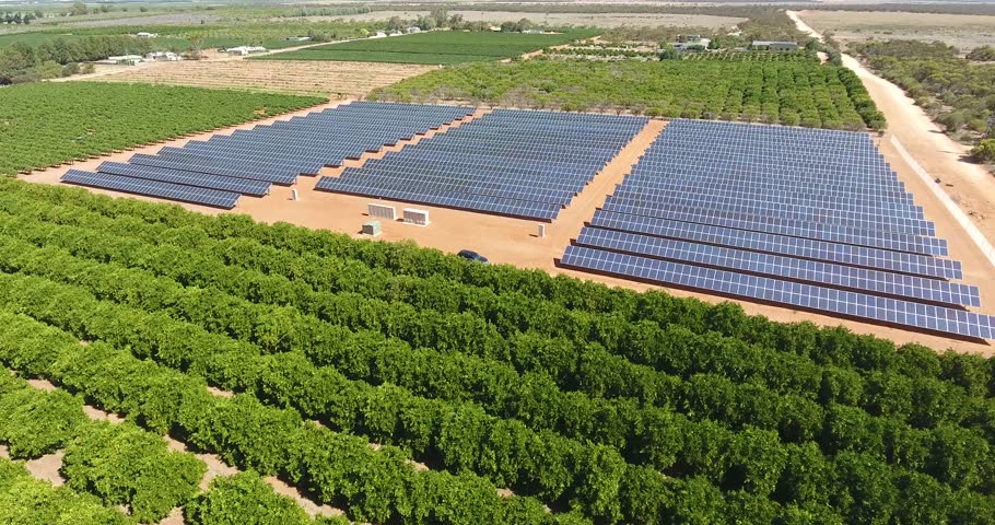 1 Megawatt Solar Farm in Stock Footage Video (100% Royalty-free