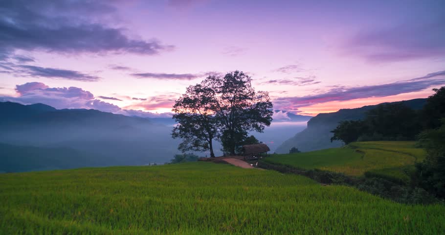 Header of xat
