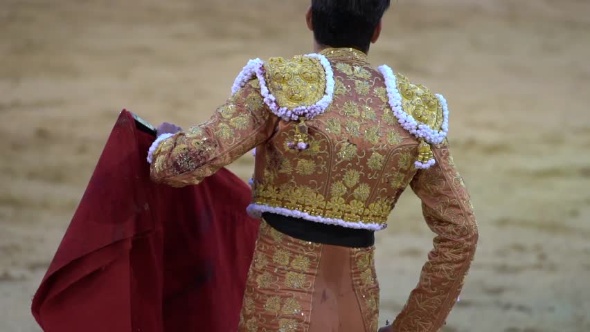 Header of bullfighter