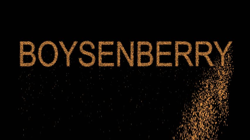 Header of boysenberry