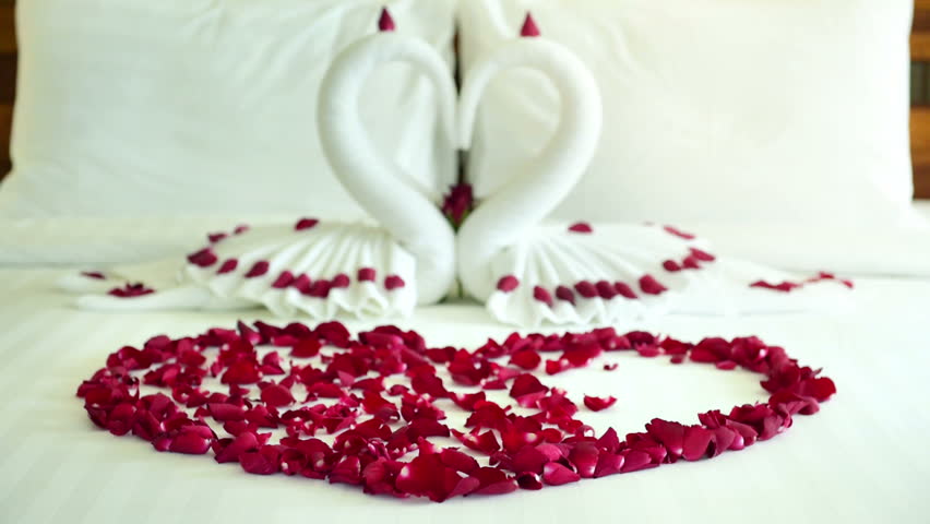 Beautiful Hotel For Honeymoon Sweet Swan Stock Footage Video 100 Royalty Free 1011837017 Shutterstock