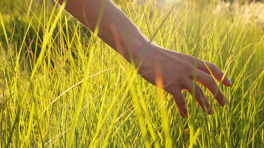 Touch some grass. Трогать траву. Потрогай траву. Hand touching grass. Go Touch grass.