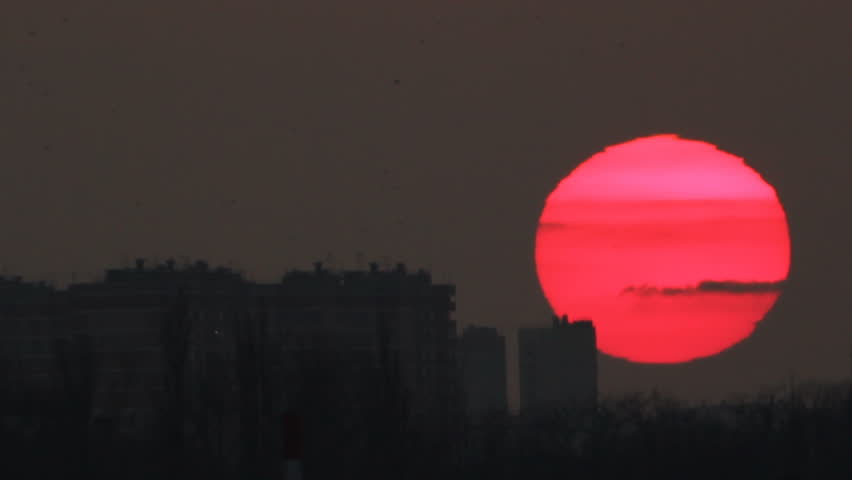 Flocks of birds in the sky under orange skies image - Free stock photo ...