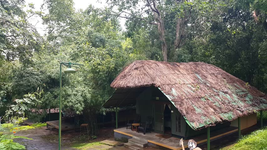 Kabini Wildlife Sanctuary Karnataka India Stock Footage Video