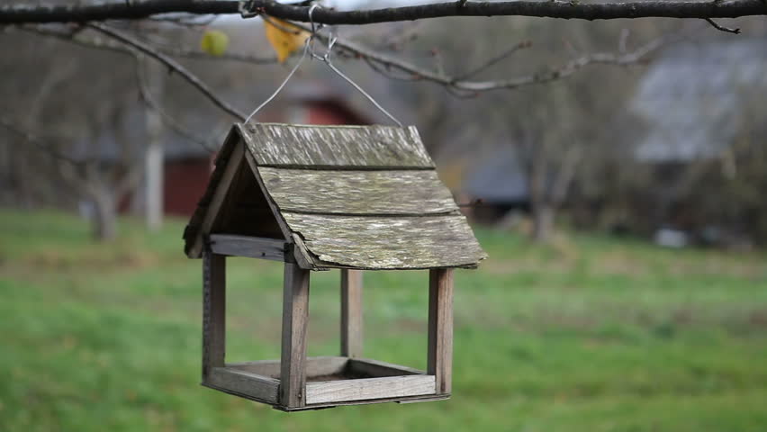 Bird Feeders House For Birds Stock Footage Video 100 Royalty