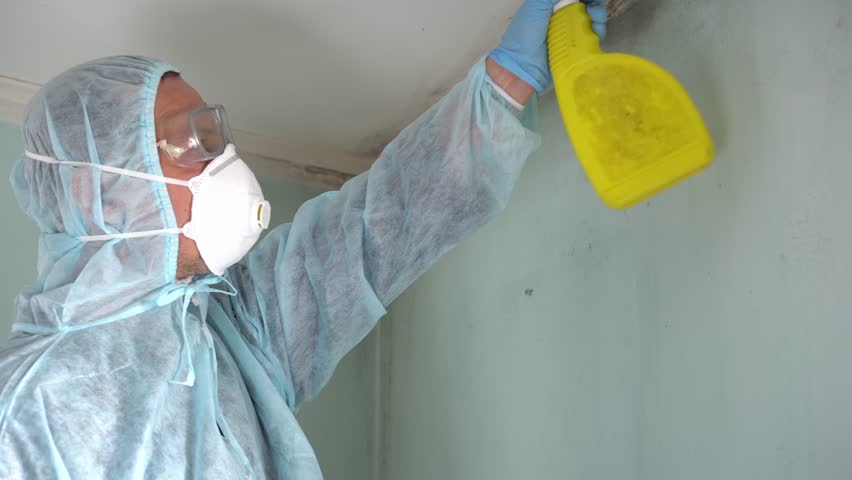 Cleaning Up Mold Removal Stock Footage Video 100 Royalty Cleaning Up Mold Removal Company Removing And Infested Materials