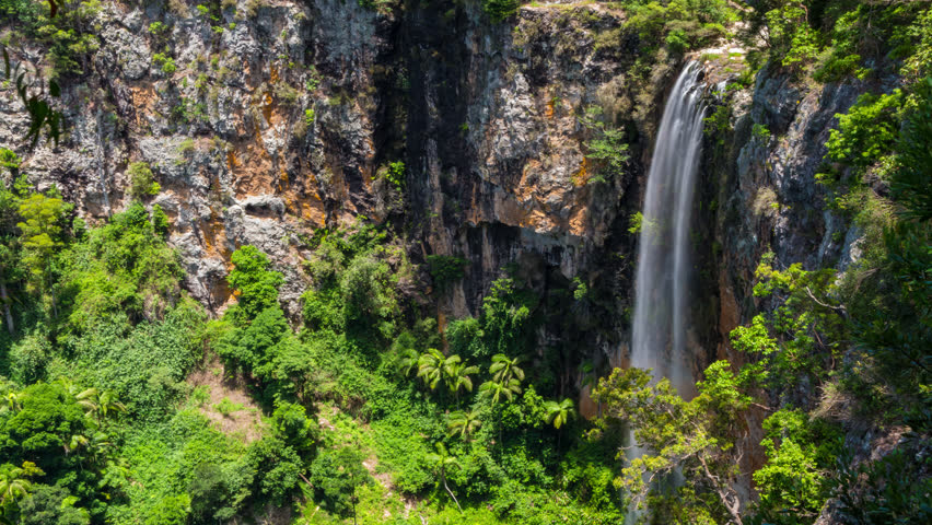 Purling Brook Falls Springbrook National Stock Footage Video 100