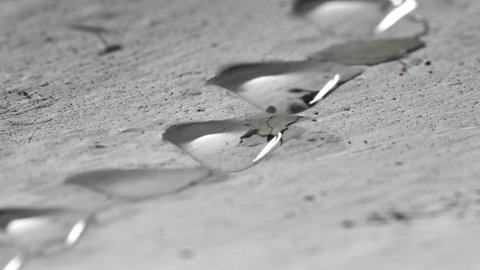 Leak Floor Stock Video Footage 4k And Hd Video Clips Shutterstock