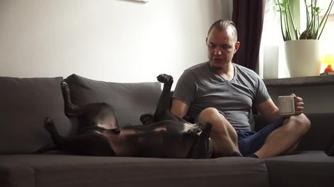 Lazy Man Sitting On Sofa Stock Footage Video 100 Royalty Free