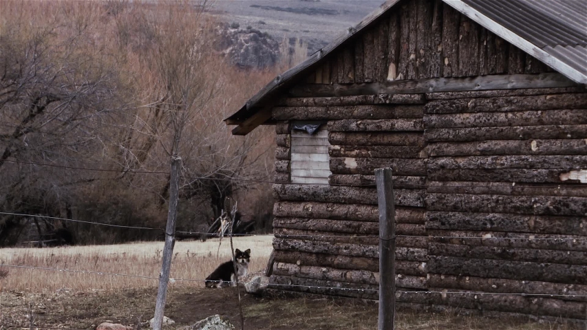 Small Log Cabins Exterior Stock Video Footage 4k And Hd Video