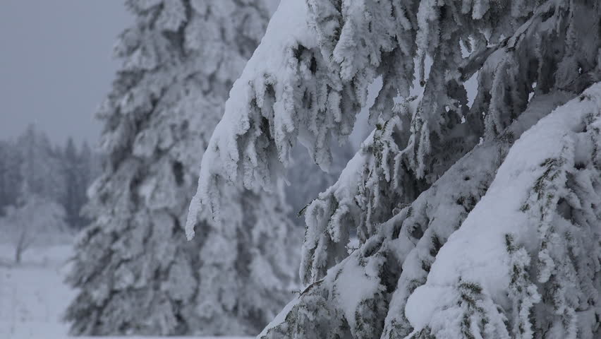 Desolate Winter Landscape Stock Footage Video (100% Royalty-free ...