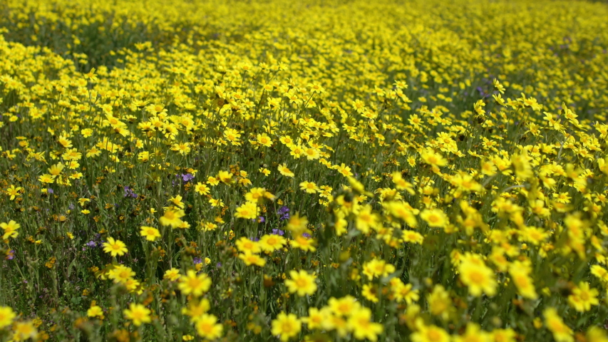 Carrizo Plain National Monument in California Landscape image - Free ...