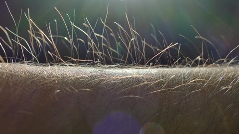 Static Electricity Stock Video Footage 4k And Hd Video Clips