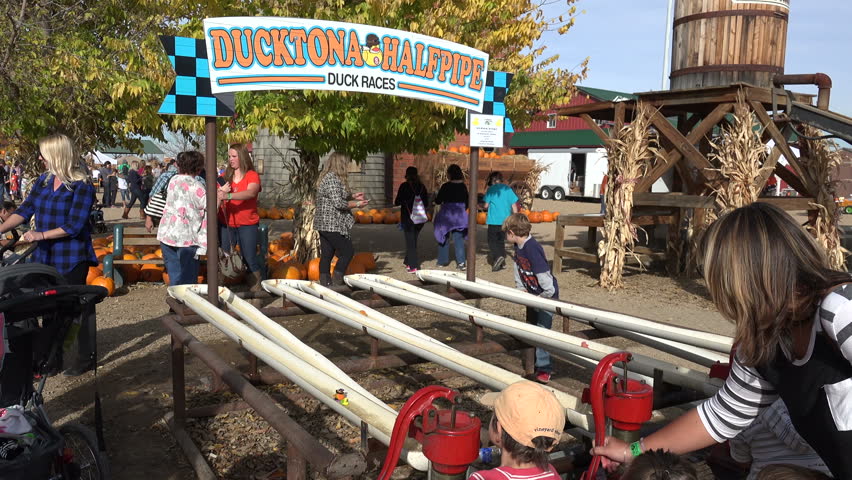 Header of Pump Action