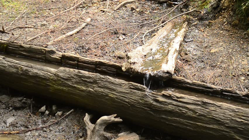 Horse Trough Footage Page 3 Stock Clips Horses Eating Hay From Trough Spring With Clear Water In Drinking For Cattle Sheep And Other Animals