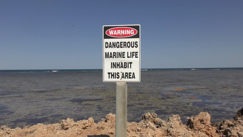 Warning Sign Symbol At Coastal Reef For Dangerous Marine Life In Ocean