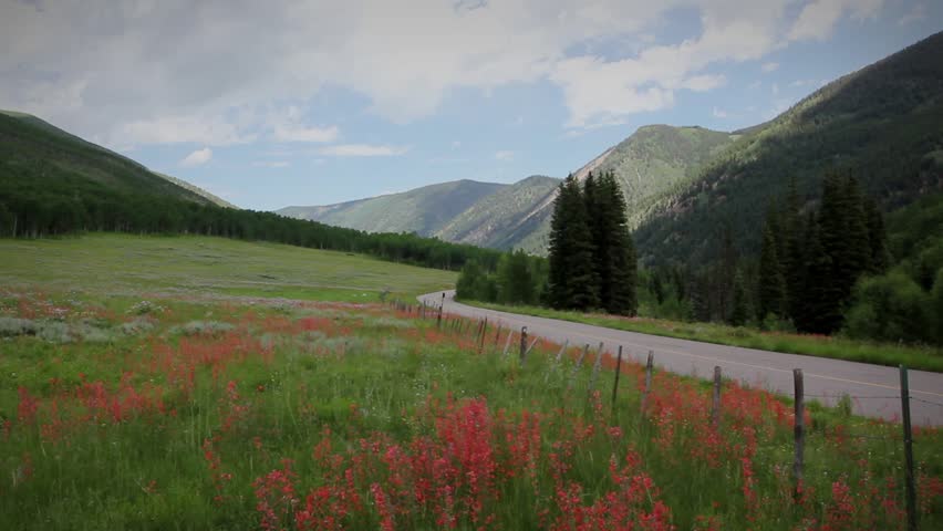 1270 Beautiful Summer High Mountain Wilderness Landscape With Meadow
