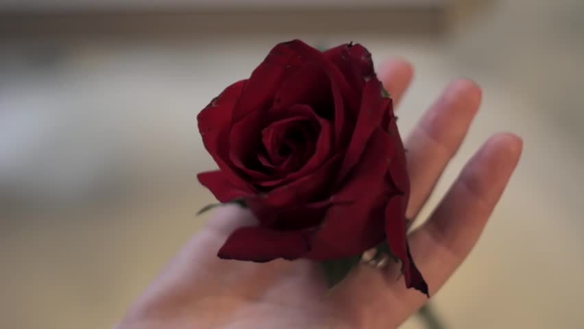 Beautiful Red Rose In Her Hands Bride