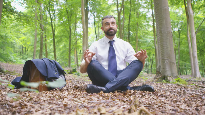 Meditation videos