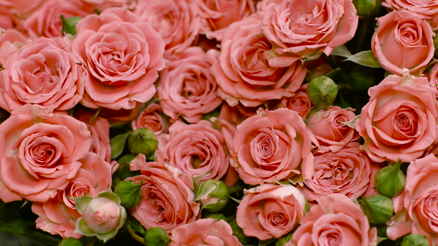 Big Bouquet Of Pink Roses, Pink Flower Flowers, Many ...