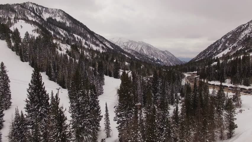 Header of snowbird