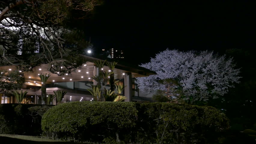 Japanese Garden At Night japanese garden and house 3d render stock footage video 3193714 Japanese Garden At Night japanese garden and house 3d render stock footage video 3193714