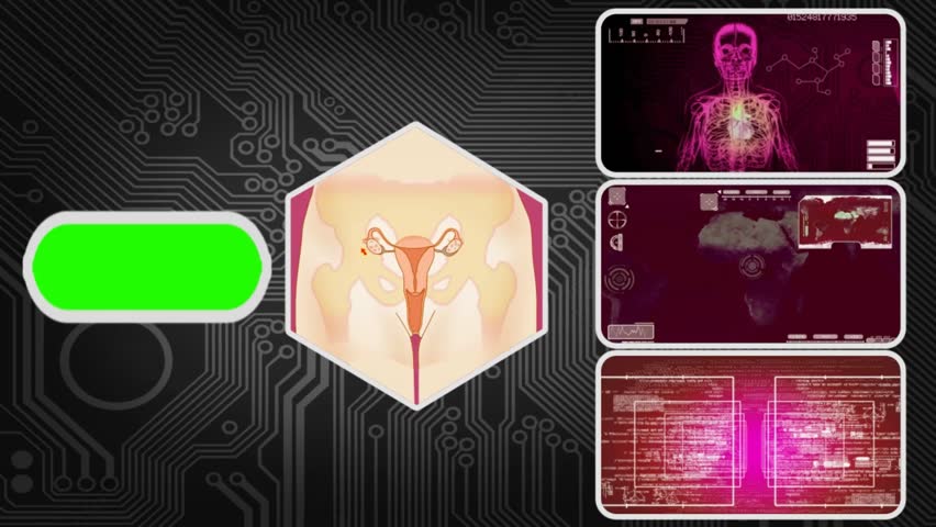 vagina video clip Vagina video clip