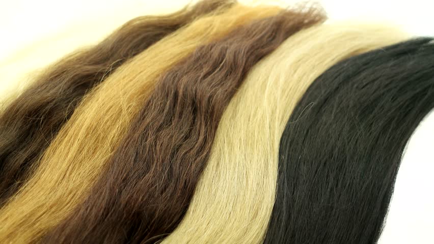 Long Thick Female Hair Of Stock Footage Video 100 Royalty Free
