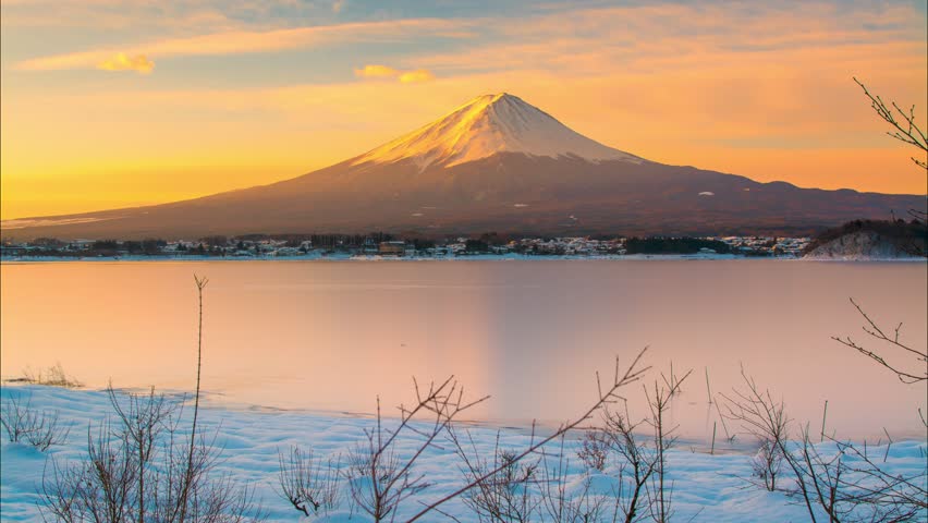 Fuji of japan coupons