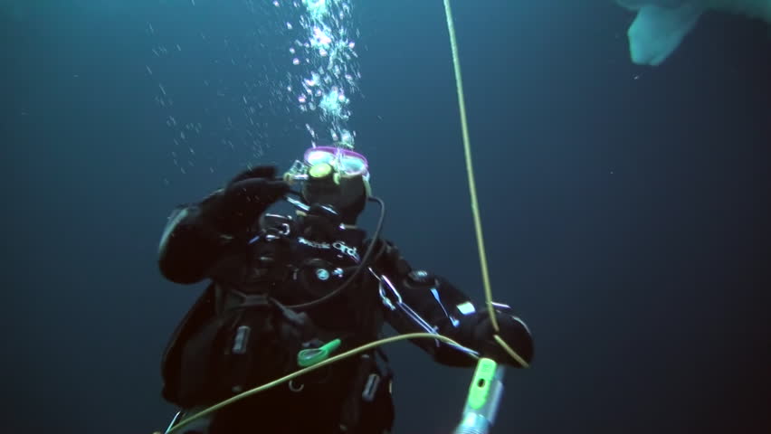 deepsea under the pole