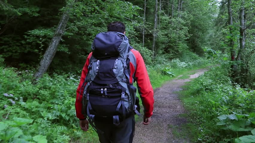 Man Hiking On Forest Trails Stock Footage Video 100 Royalty Free 17473027 Shutterstock