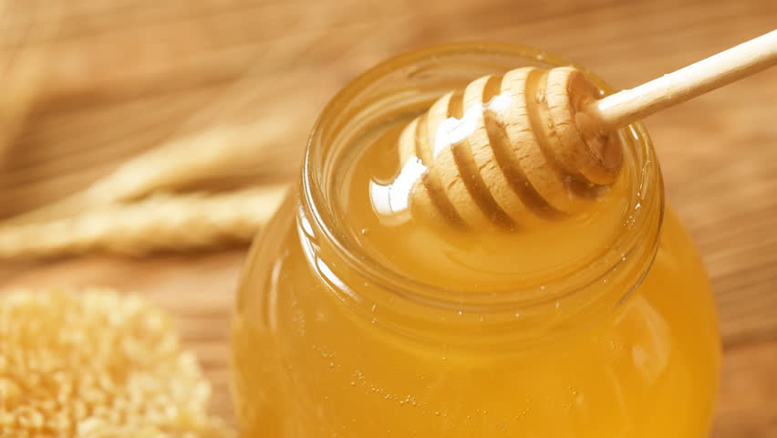 Image result for honey stock photo