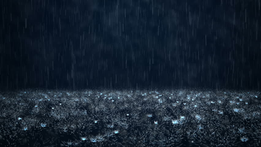 Rain On a Dark Background Stock Footage Video 100 