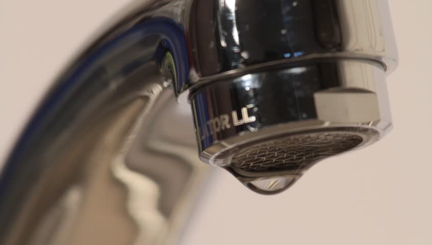Header of drippy